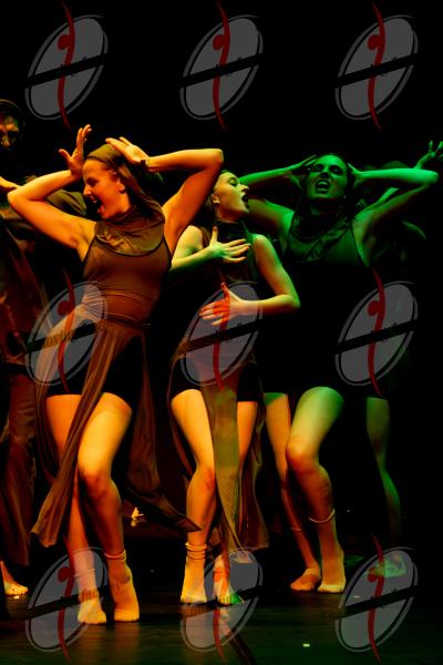SHOW_00766-2.jpg
